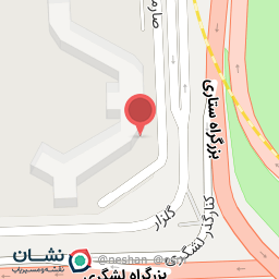 عکس اجاره خودرو ناواران