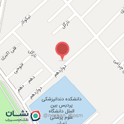 عکس فست فود لاکچری