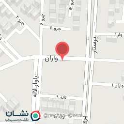 عکس تهیه غذای خاتون