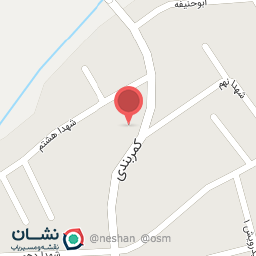 عکس پیتزا تنوری دیاکو