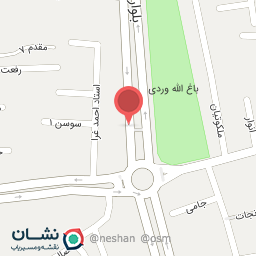 عکس خشکبار و محصولات محلی جوانه