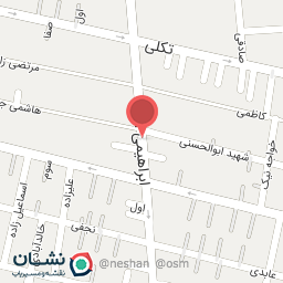 عکس تولیدی کیف برزنونی