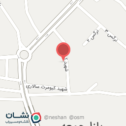 عکس برنج و شالی فروشی شهبازی