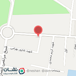 عکس الکتریکی اسلامی