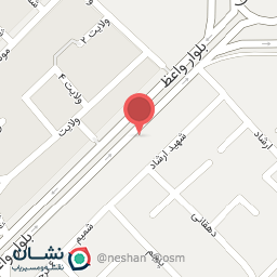 عکس پیتزا خاص