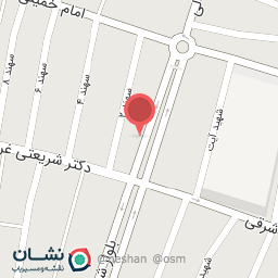 عکس پیتزا و فست فود