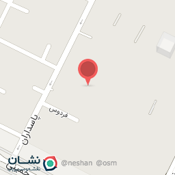 عکس بیمه پاسارگاد عباسی