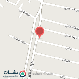 عکس الکتریکی بدری 