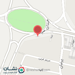 عکس کباب ساطوری آیلار