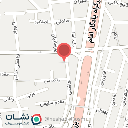 عکس شاکو برگر