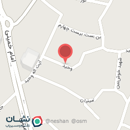 عکس گااری الی بانو