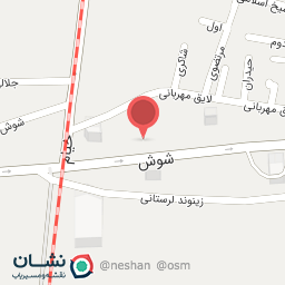 عکس تهیه غذای جوجه لذیذ