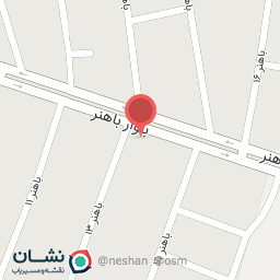 عکس مرغ پرکتی