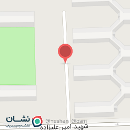 عکس آجیل و خشکبار شهدانه