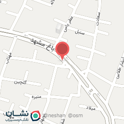 عکس چادردوزی امینی