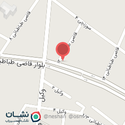 عکس آبمیوه طبیعی و بستنی گل یخ