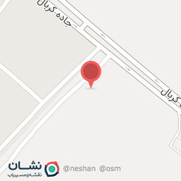 عکس قالیشویی نگین