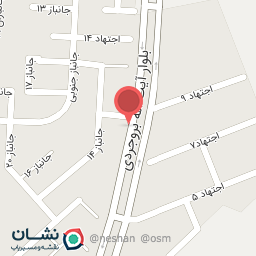 عکس اتوسرویس نیکا