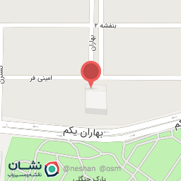 عکس پیتزا دلفین