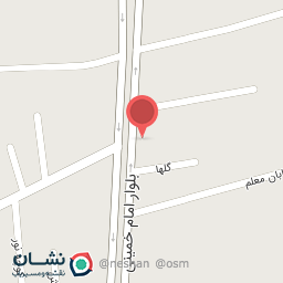 عکس مرغ و ماهی ساحل