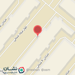 عکس طراحی کفش نیلپا