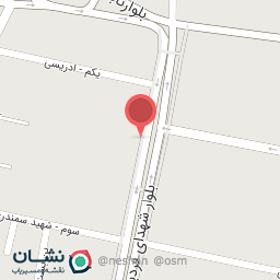 عکس استاد پلاس