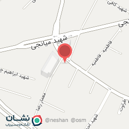 عکس فیلمبرداری نگین