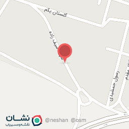 عکس مشاور املاک شایسته