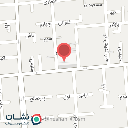 عکس تیم بسکتبال پرشین بسکتبال