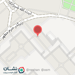 عکس ورودی رواق شیخ طوسی