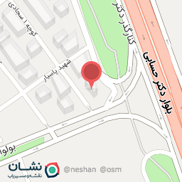 عکس فست فود دستچین