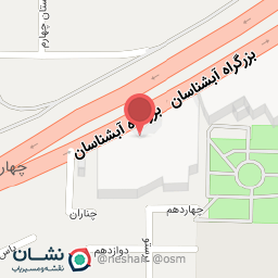 عکس چرم کهربا