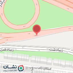 عکس دکتر سید نجات حسینی