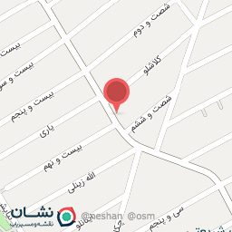 عکس پرنده سرای امیر علی