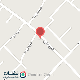 عکس پسته و مغز صدف