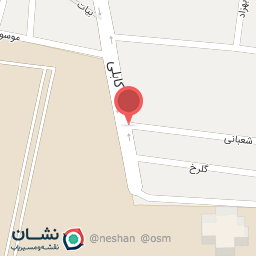 عکس پیتزا جینو