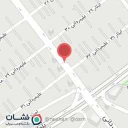 عکس  شهید علیمردانی 31