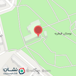 عکس کفش مطلق