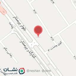 عکس دکتر لادن همتی