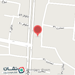 عکس عسل بهامین