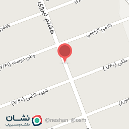 عکس فست‌فود الویه مزه