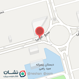 عکس دکتر بیتا ربانی