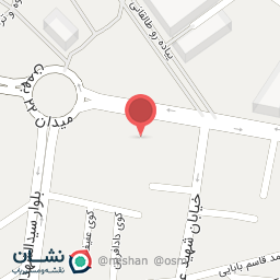 عکس کیف و کفش لوتوس