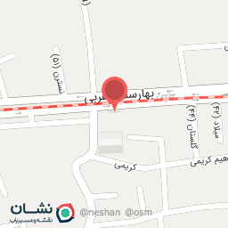 عکس برق خودرو مهدی