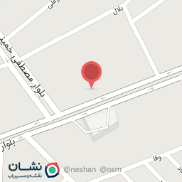 عکس تزئینات اتومبیل اسدزاده