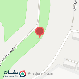 عکس یادگاران اسکیت