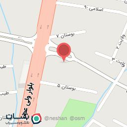 عکس فرش سورنا