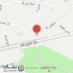 عکس آقای کمربند 