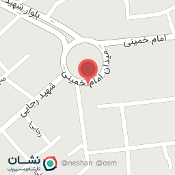 عکس تابلو فرش دستباف بهمن