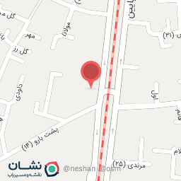 عکس همراه مکانیک